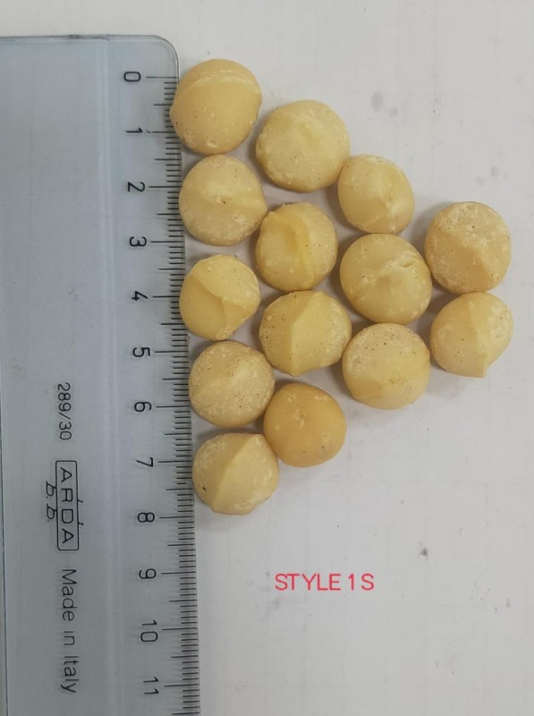 Macadamia Style 1S (October 2022 Shipment) from Kenya